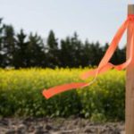 Subdivision Surveys for Clyde North Land Division: A Guide