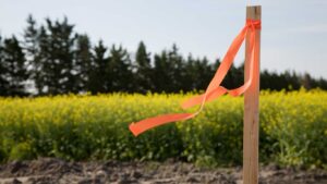 Subdivision Surveys for Clyde North Land Division: A Guide