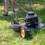 Grass Cutting Services in Montacute: Expert Options and Tips