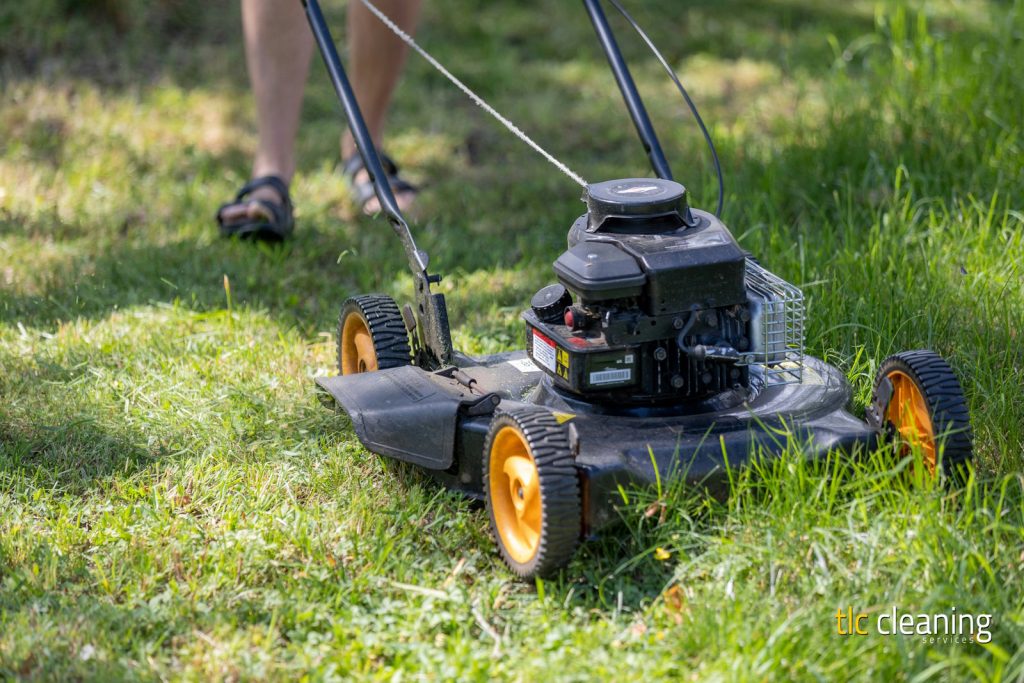 Grass Cutting Services in Montacute: Expert Options and Tips