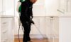 DIY Pest Control: Why Professional Treatments Outperform Sprays