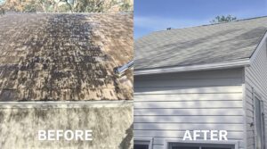 Explore the Essential Benefits of Soft Washing for Complete Home Care