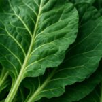 Collard Greens for a Wholesome Slow Cooked Dinner