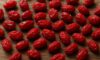 Dried Barberries in Persian Cuisine: Authentic Recipes