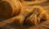 Hay and Straw: Creative Culinary Inspirations