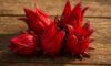 Hibiscus Flowers: Creative Culinary Techniques and Tips