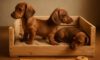 Puppy Comfort: Tips for a Cosy Crate Setup