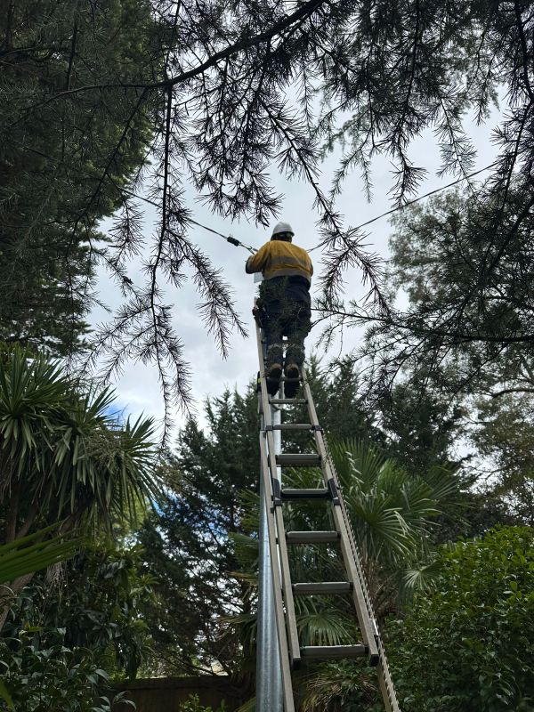 Electrical Defect Notice Response: Insights from the Mid North Coast
